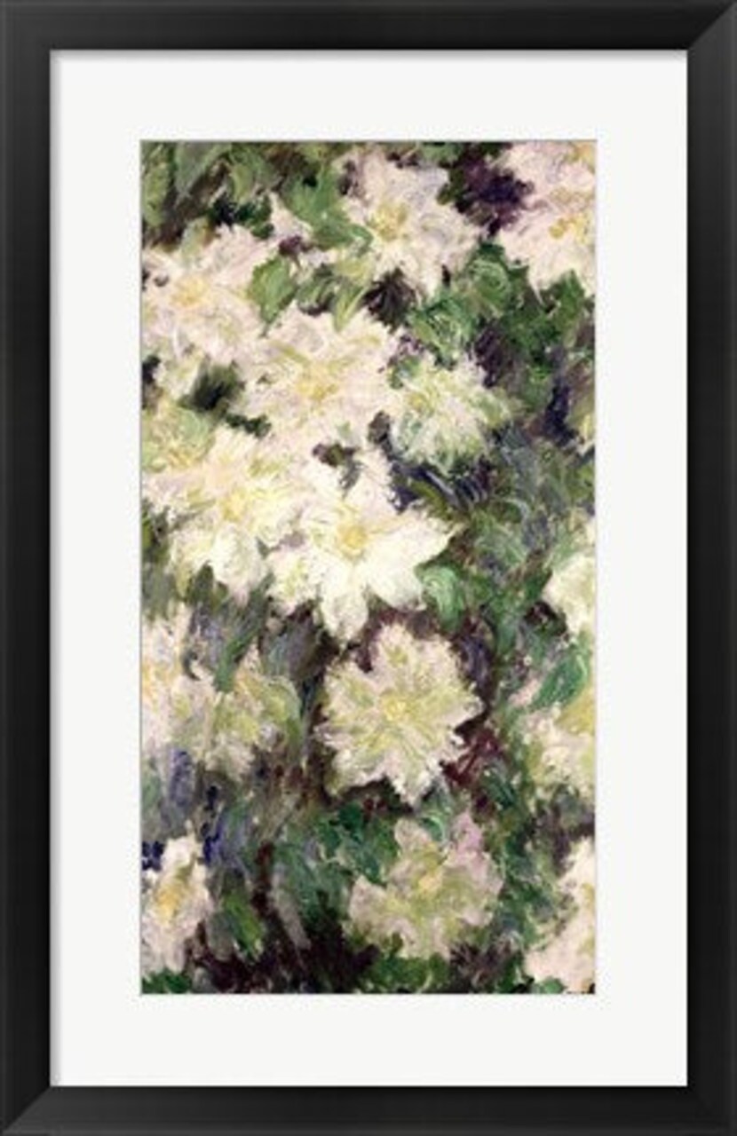 Framed Art White Clematis, 1887 by Claude Monet Wall Decor 18x24 Artwork